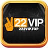 222viptop avatar