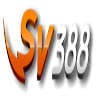 SCV388VN avatar