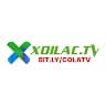webxoilactvvideo avatar