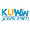 kuwinQ8S5 avatar