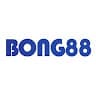 2bong88aorg avatar