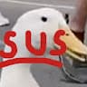 DiamondDuck avatar