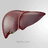 Hubrecht_loves_Hedgehogs avatar