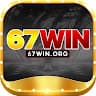 67winorg avatar