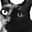 MasayasuObushimaobushi avatar