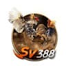trangchusv388sarl avatar
