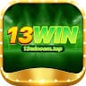 13wincomtop avatar