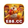 e88ccorg avatar