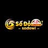 sodowicom1 avatar