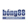 bong88vnxyz avatar