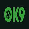 ok9house avatar