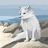 AbearGoupta avatar