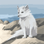 AbearGoupta avatar