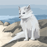 AbearGoupta avatar