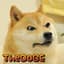 TheDoGEgPtp avatar