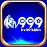 kv999kim avatar