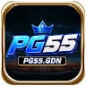 pg55gdn avatar