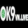 Ok9vnlive avatar
