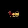 Alo88day avatar
