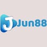 vipjun88co avatar