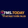 7mToday avatar