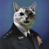 TesseractCat avatar