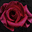 DOFT avatar