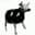 fc29 avatar