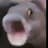 NickDaTick avatar