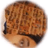 RockMyForum avatar