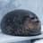 sushivoid avatar
