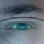 RaymondArnold avatar