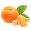ASatsumaOrange avatar