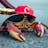 Crab avatar
