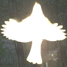 GhostBirdLary avatar